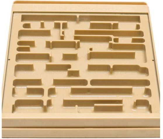 Basic Supplies To Start An Ant Farm
