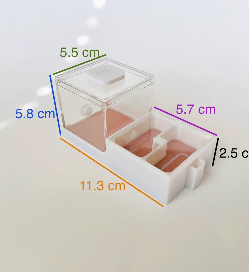 Square Chamber Ant Nest