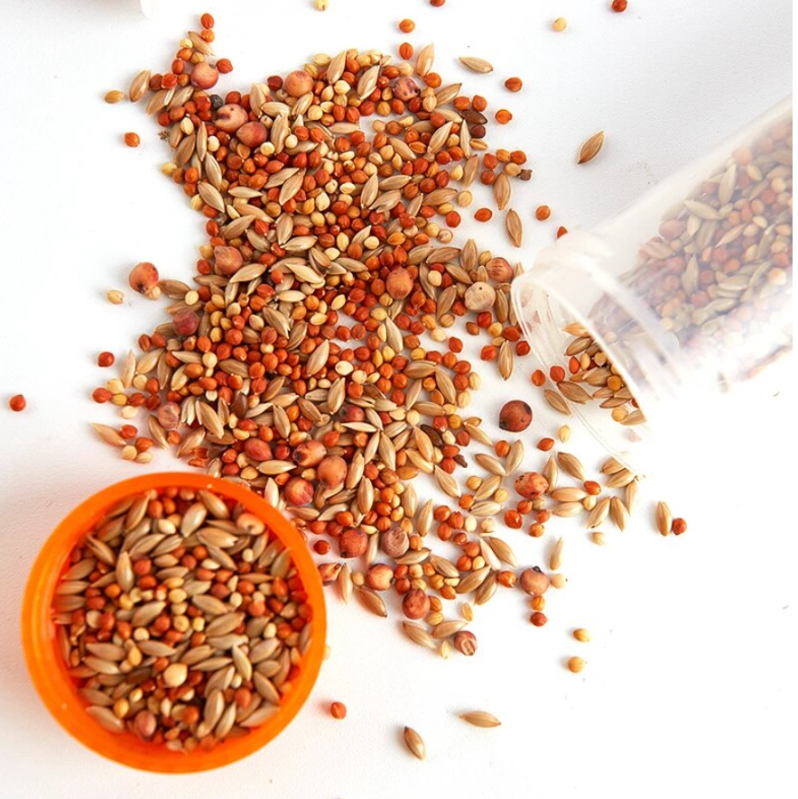 Ant Nutrition = Protein + Carbs + Water